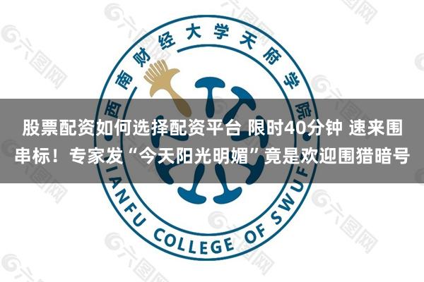 股票配资如何选择配资平台 限时40分钟 速来围串标！专家发“今天阳光明媚”竟是欢迎围猎暗号