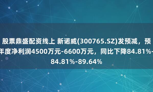 股票鼎盛配资线上 新诺威(300765.SZ)发预减，预计2024年度净利润4500万元-6600万元，同比下降84.81%-89.64%