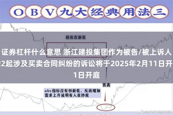 证券杠杆什么意思 浙江建投集团作为被告/被上诉人的2起涉及买卖合同纠纷的诉讼将于2025年2月11日开庭