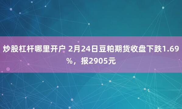 炒股杠杆哪里开户 2月24日豆粕期货收盘下跌1.69%，报2905元